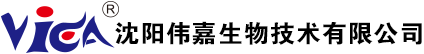 bob综合体育网页版
